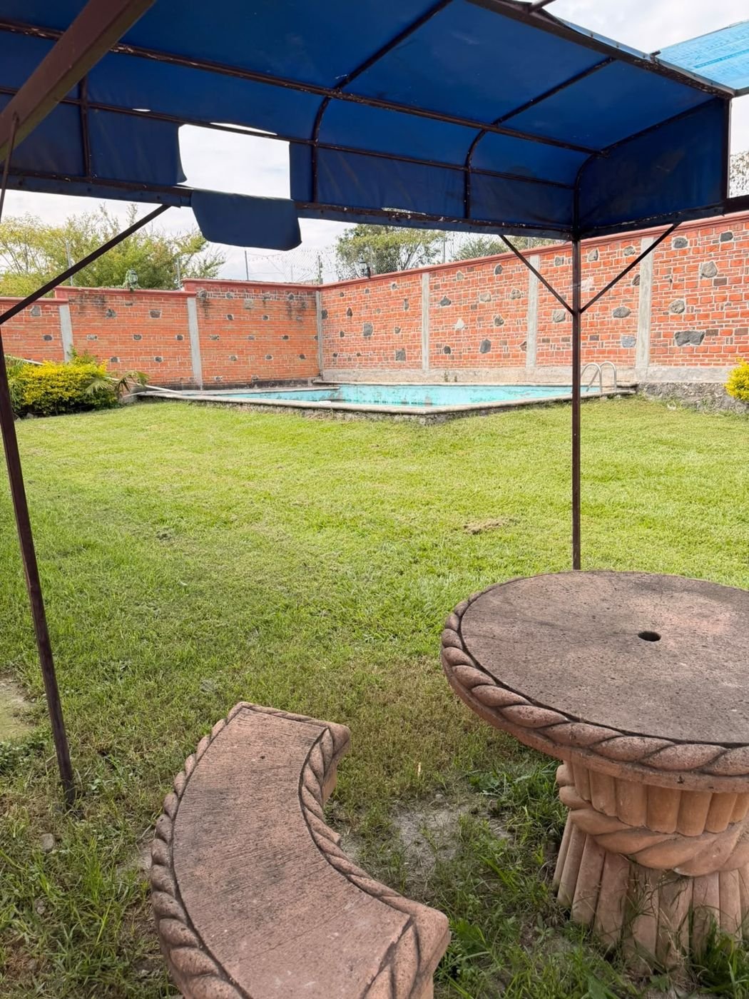 Jardín con alberca
